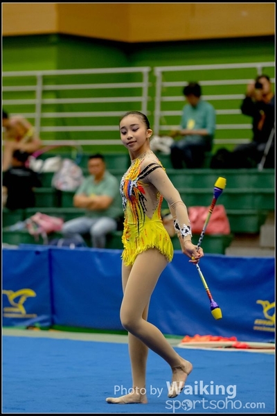 2016-11-20 Sticks 0187