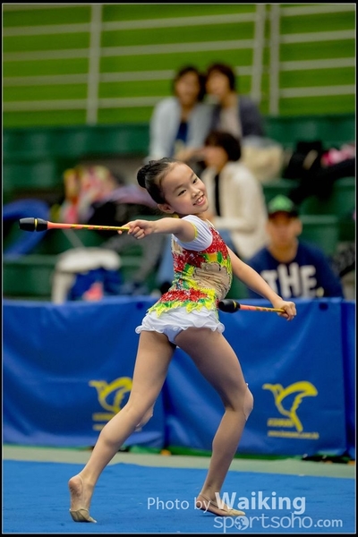 2016-11-20 Sticks 0248