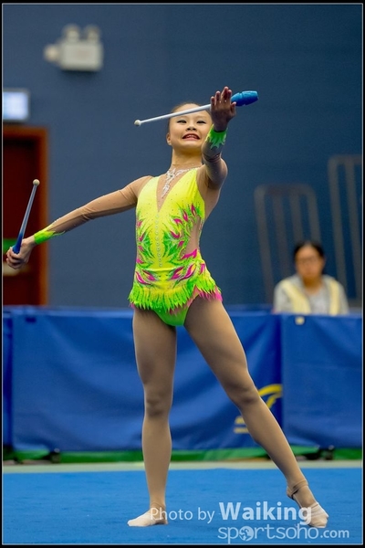 2016-11-20 Sticks 0261
