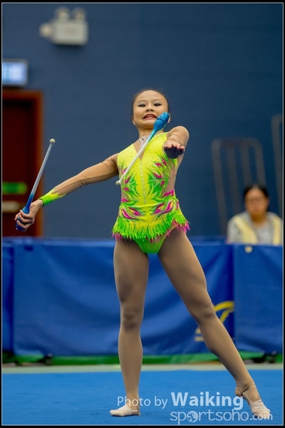 2016-11-20 Sticks 0262