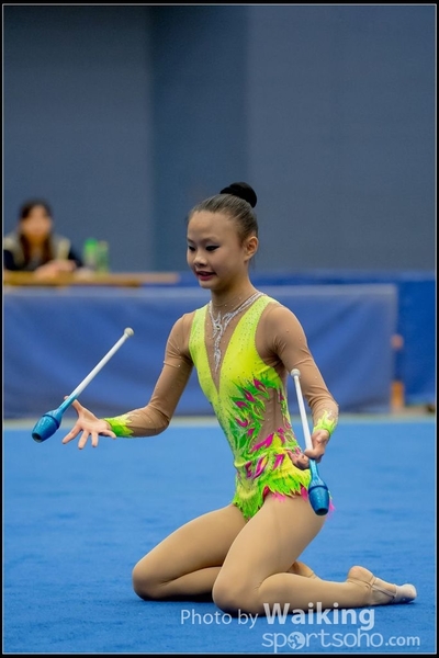 2016-11-20 Sticks 0265