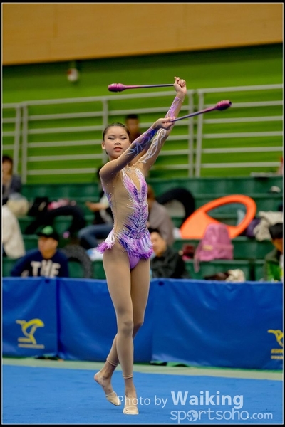 2016-11-20 Sticks 0283