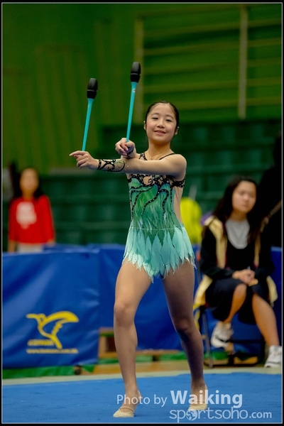 2016-11-20 Sticks 0312