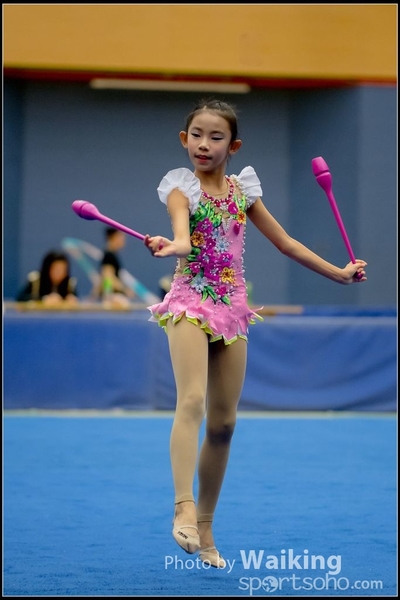 2016-11-20 Sticks 0374