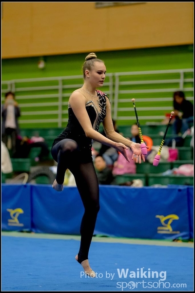 2016-11-20 Sticks 0415