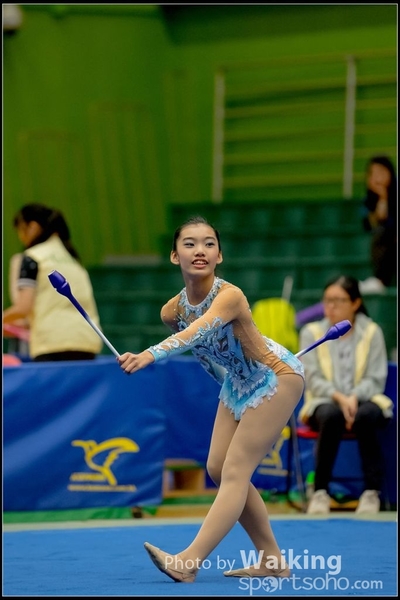 2016-11-20 Sticks 0435