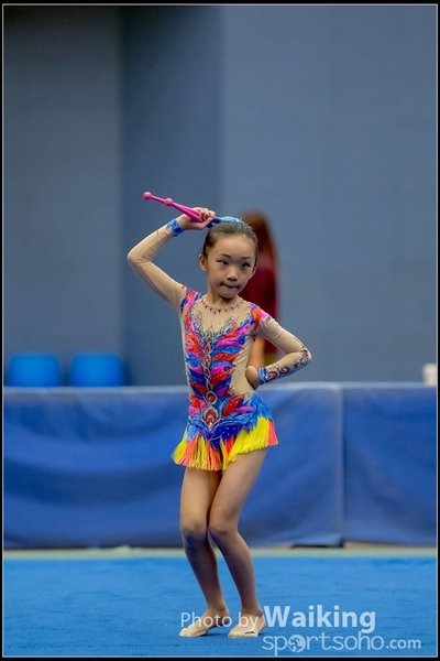 2016-11-20 Sticks 0450