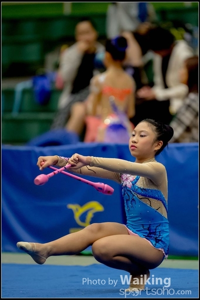 2016-11-20 Sticks 0455
