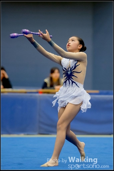 2016-11-20 Sticks 0470