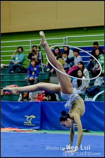 20161120 art 1395