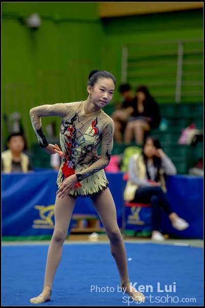 20161120 art 1766