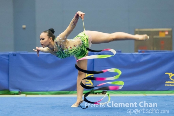 RG2016_1_1239