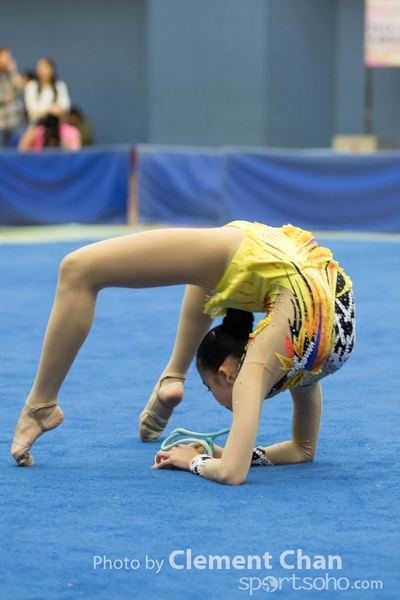 RG2016_1_1509