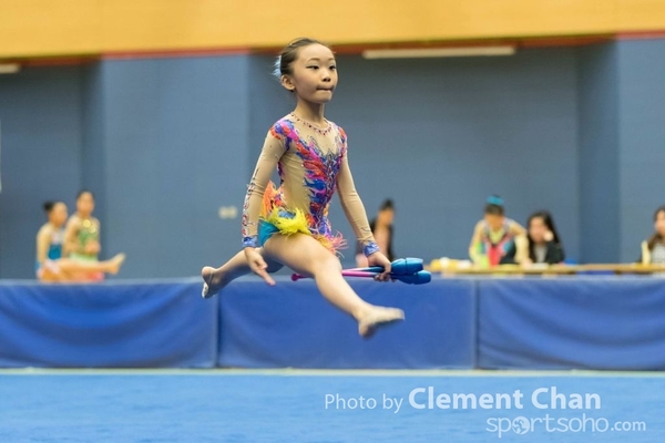 RG2016_2_233