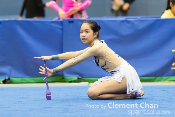 RG2016_2_239