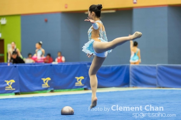 RG2016_2_273