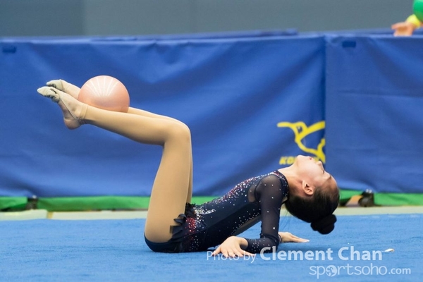 RG2016_2_295