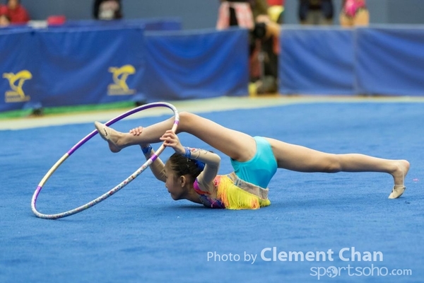 RG2016_2_331