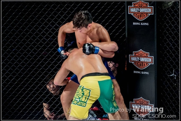 2016-12-02 IMPI 0186