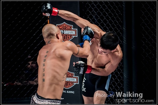 2016-12-02 IMPI 0217
