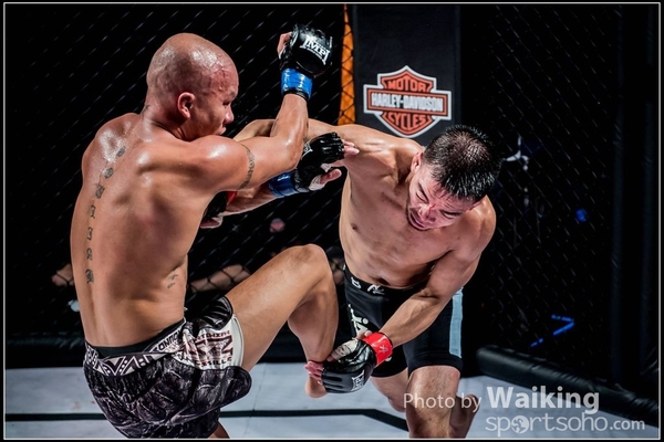 2016-12-02 IMPI 0229