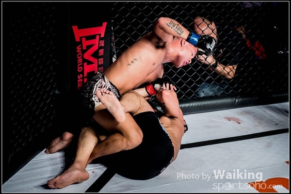 2016-12-02 IMPI 0231