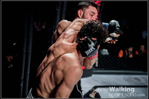 2016-12-02 IMPI 0248