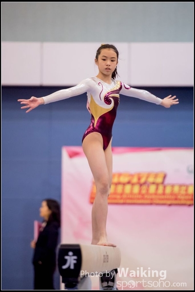 2017-01-14 Artistic Gymnastics 0008