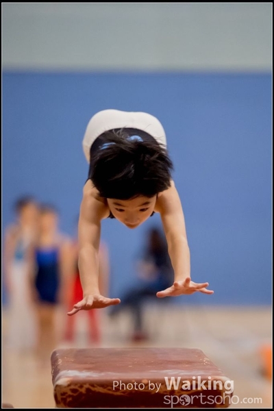 2017-01-14 Artistic Gymnastics 0053
