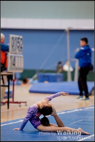 2017-01-14 Artistic Gymnastics 0079