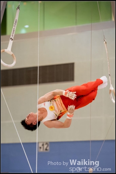 2017-01-14 Artistic Gymnastics 0282