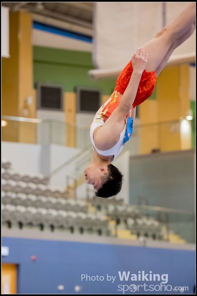 2017-01-14 Artistic Gymnastics 0311