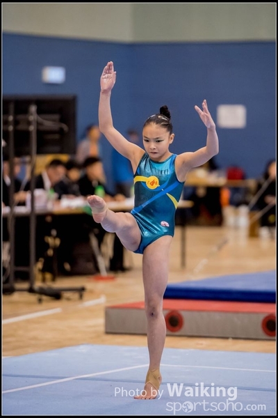 2017-01-14 Artistic Gymnastics 0346