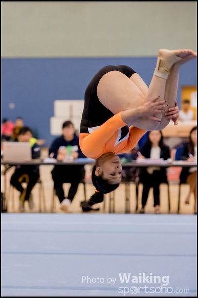 2017-01-14 Artistic Gymnastics 0351