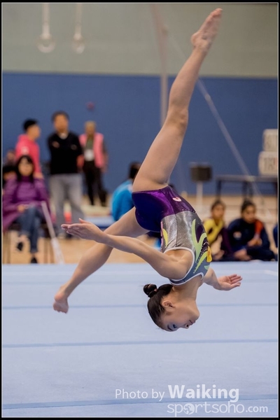 2017-01-14 Artistic Gymnastics 0398