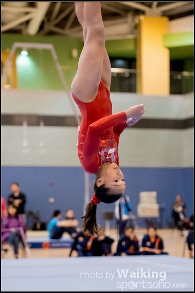 2017-01-14 Artistic Gymnastics 0429