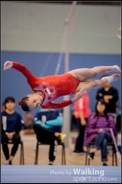 2017-01-14 Artistic Gymnastics 0432