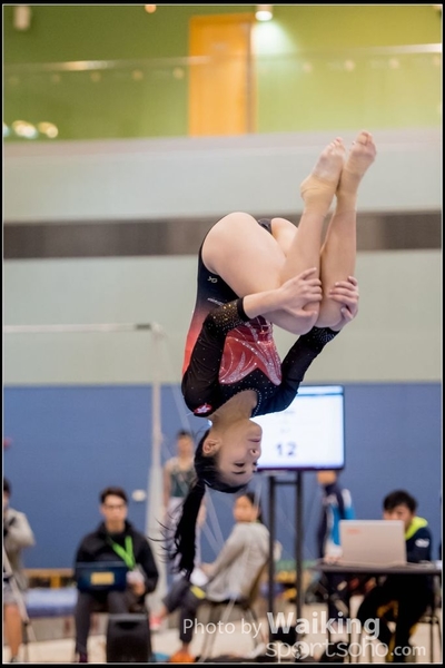 2017-01-14 Artistic Gymnastics 0485
