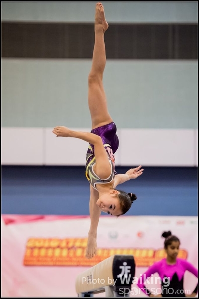 2017-01-14 Artistic Gymnastics 0491