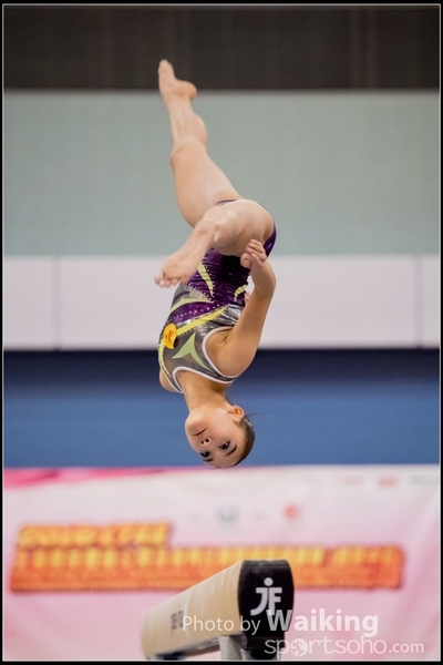 2017-01-14 Artistic Gymnastics 0499