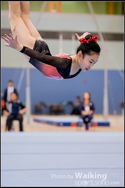 2017-01-14 Artistic Gymnastics 0504