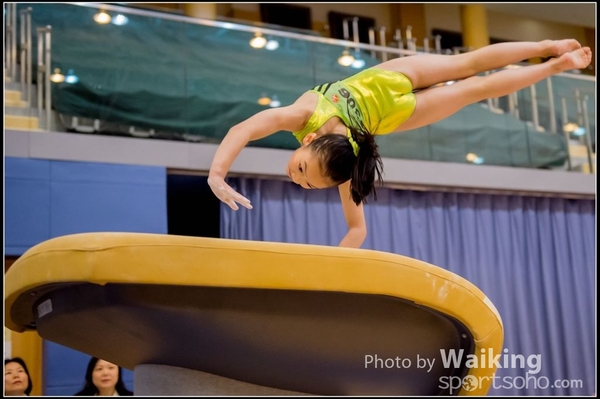 2017-01-15 Artistic Gymnastics 0010