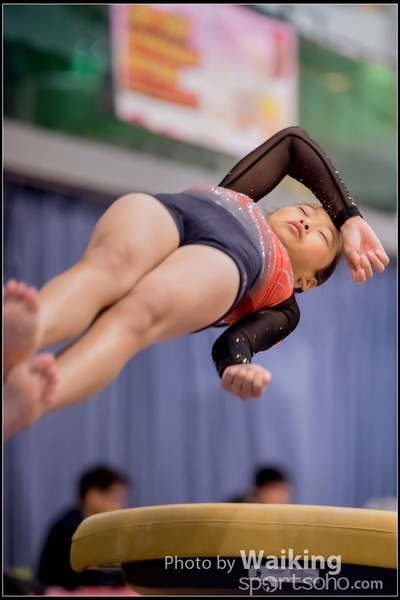 2017-01-15 Artistic Gymnastics 0027