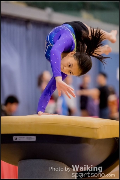 2017-01-15 Artistic Gymnastics 0028