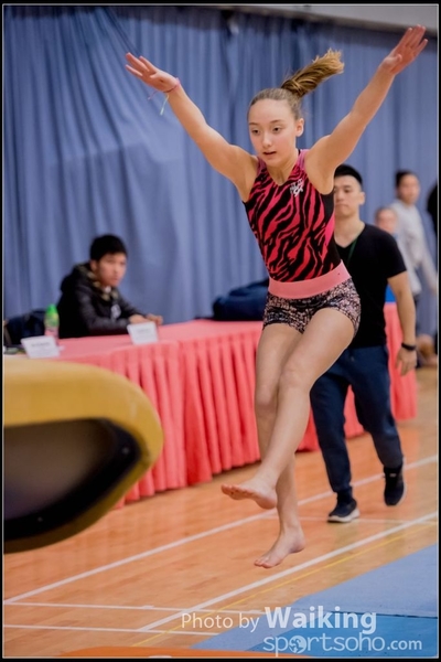 2017-01-15 Artistic Gymnastics 0035