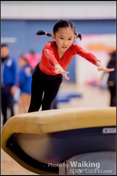 2017-01-15 Artistic Gymnastics 0041