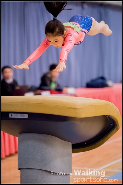 2017-01-15 Artistic Gymnastics 0047