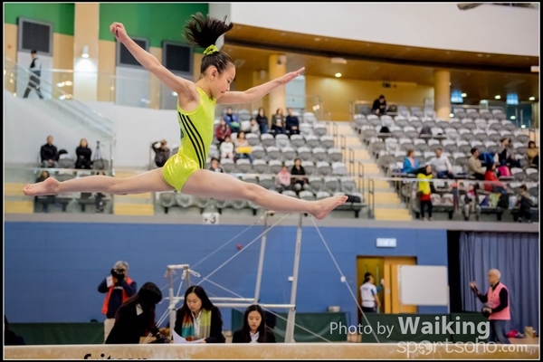 2017-01-15 Artistic Gymnastics 0058