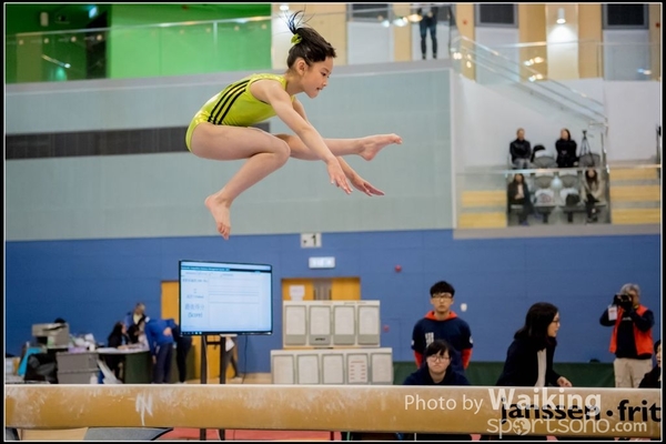 2017-01-15 Artistic Gymnastics 0059