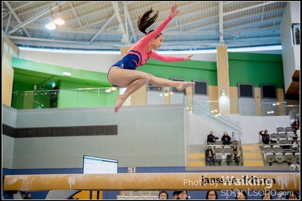 2017-01-15 Artistic Gymnastics 0062